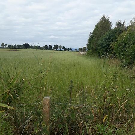 Edenroc Pensionat Perth Exteriör bild