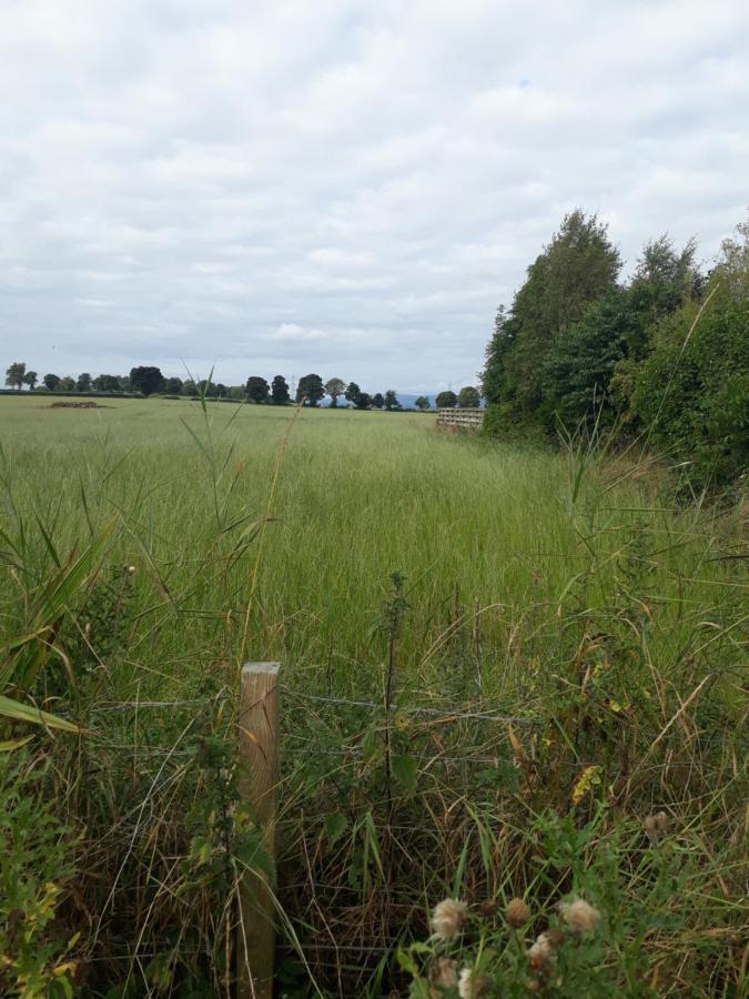 Edenroc Pensionat Perth Exteriör bild